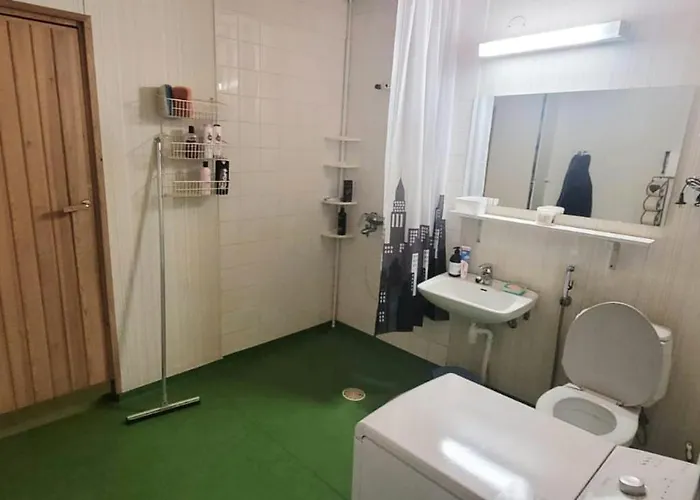 Marten's Nest 罗瓦涅米